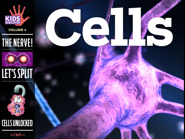 Astonishing The Hidden Power Of Blood S Smallest Parts - kn84ej0
