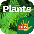 plants